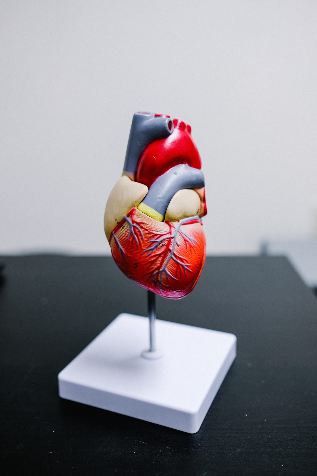 Why Your Heart Health Depends on More Than Cholesterol